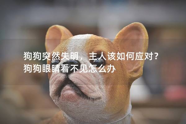 狗狗突然失明，主人該如何應對？ 狗狗眼睛看不見怎么辦