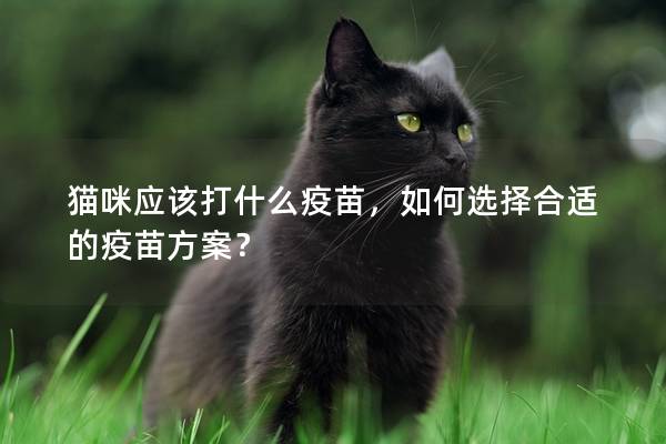 貓咪應該打什么疫苗，如何選擇合適的疫苗方案？