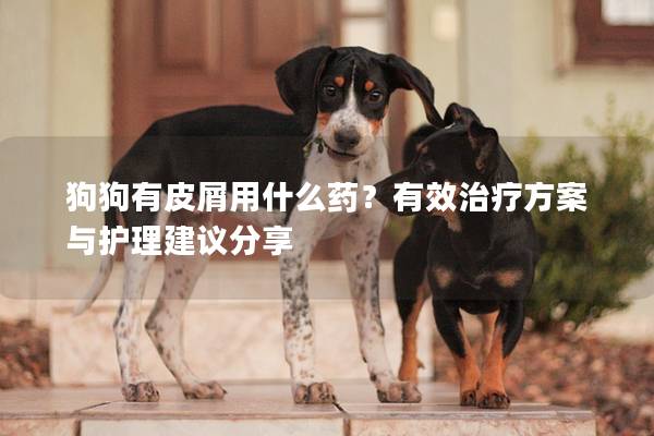 狗狗有皮屑用什么藥？有效治療方案與護(hù)理建議分享