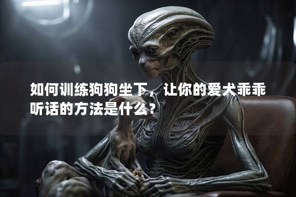 如何訓練狗狗坐下，讓你的愛犬乖乖聽話的方法是什么？