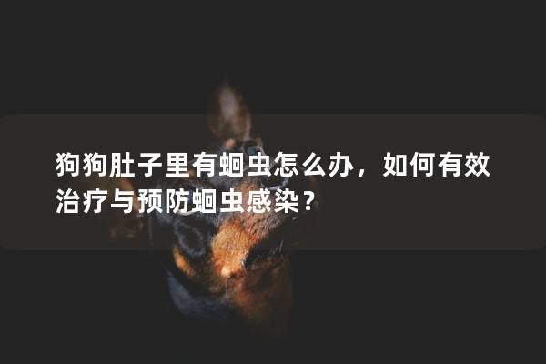 狗狗肚子里有蛔蟲怎么辦,如何有效治療與預防蛔蟲感染? 狗狗肚子里有蛔蟲怎么辦,如何有效治療與預防蛔蟲感染?