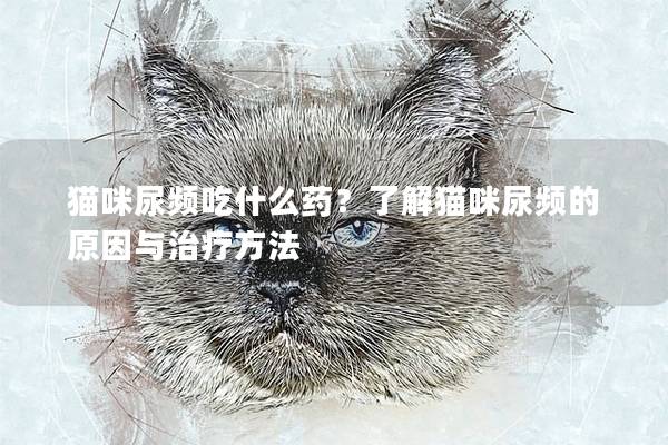 貓咪尿頻吃什么藥？了解貓咪尿頻的原因與治療方法