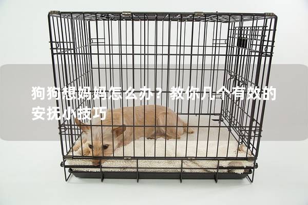 狗狗想媽媽怎么辦?教你幾個有效的安撫小技巧 狗狗想媽媽怎么辦?教你幾個有效的安撫小技巧