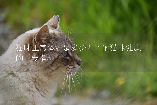 貓咪正常體溫是多少？了解貓咪健康的重要指標(biāo)