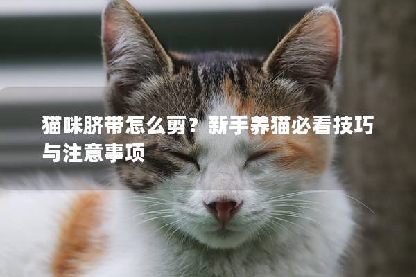 貓咪臍帶怎么剪？新手養貓必看技巧與注意事項