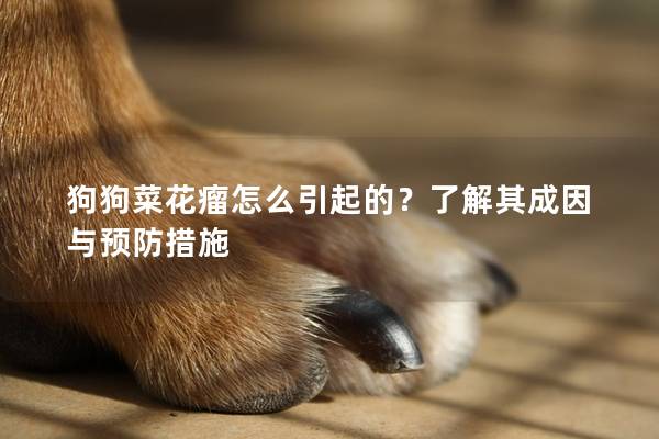 狗狗菜花瘤怎么引起的？了解其成因與預防措施
