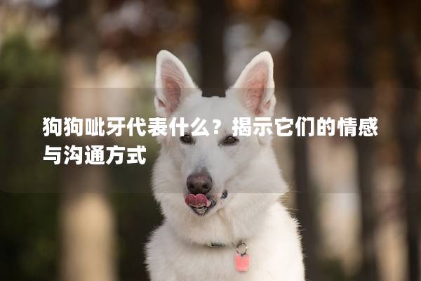 狗狗呲牙代表什么?揭示它們的情感與溝通方式 狗狗呲牙代表什么?揭示它們的情感與溝通方式