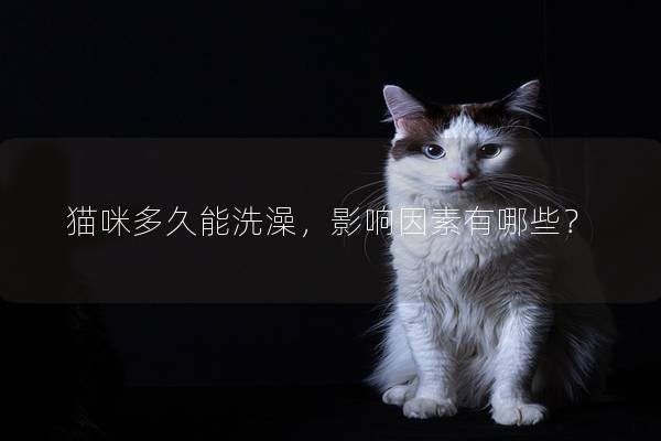 貓咪多久能洗澡,影響因素有哪些? 貓咪多久能洗澡,影響因素有哪些?