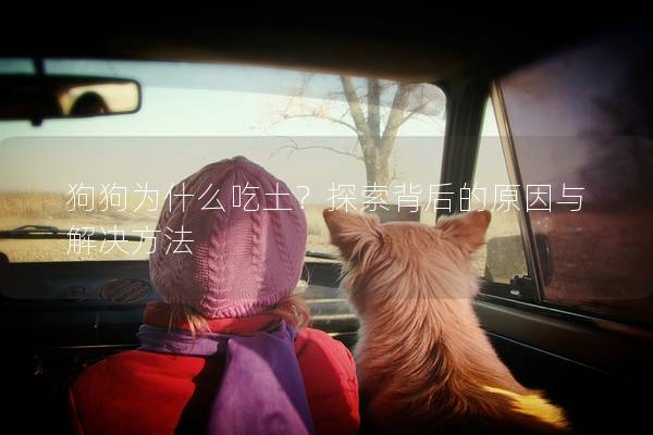 狗狗為什么吃土？探索背后的原因與解決方法