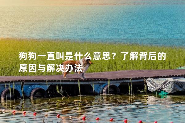 狗狗一直叫是什么意思？了解背后的原因與解決辦法