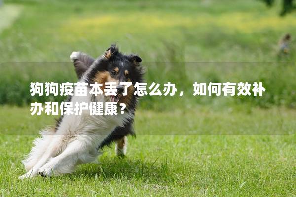 狗狗疫苗本丟了怎么辦，如何有效補辦和保護健康？