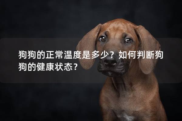 狗狗的正常溫度是多少？如何判斷狗狗的健康狀態(tài)？