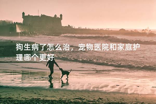 狗生病了怎么治,寵物醫院和家庭護理哪個更好 狗生病了怎么治,寵物醫院和家庭護理哪個更好