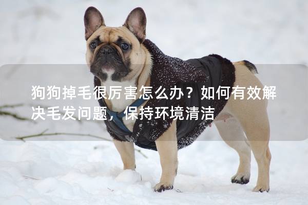 狗狗掉毛很厲害怎么辦？如何有效解決毛發問題，保持環境清潔