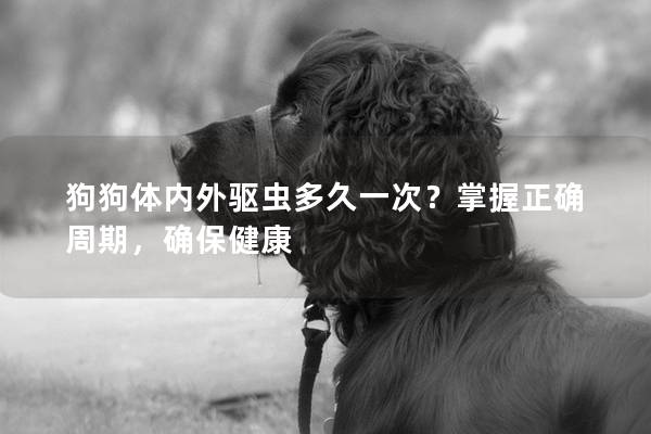 狗狗體內外驅蟲多久一次?掌握正確周期,確保健康 狗狗體內外驅蟲多久一次?掌握正確周期,確保健康