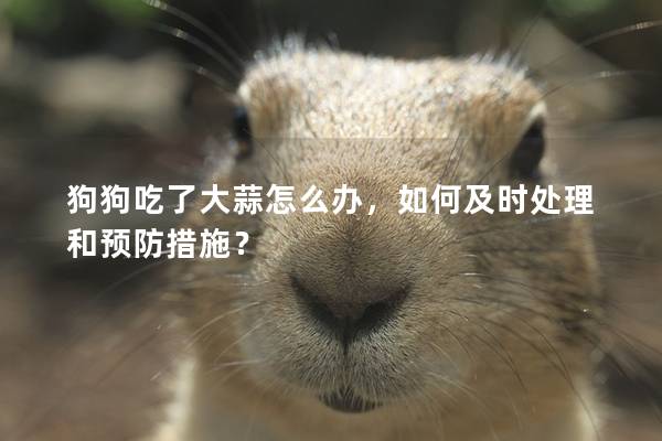 狗狗吃了大蒜怎么辦，如何及時處理和預防措施？