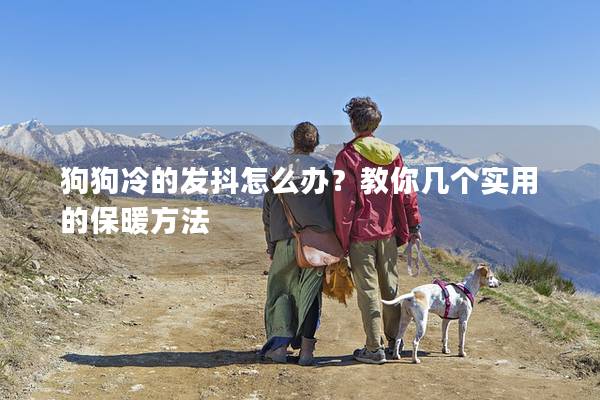 狗狗冷的發(fā)抖怎么辦？教你幾個(gè)實(shí)用的保暖方法