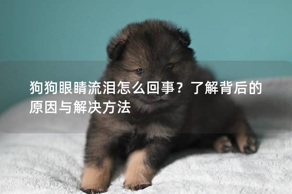 狗狗眼睛流淚怎么回事？了解背后的原因與解決方法