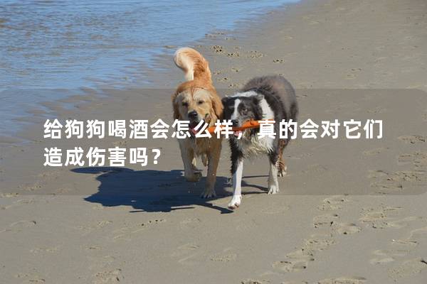 給狗狗喝酒會(huì)怎么樣，真的會(huì)對(duì)它們?cè)斐蓚幔?></em><p>給狗狗喝酒會(huì)怎么樣，真的會(huì)對(duì)它們?cè)斐蓚幔?/p><span>2024-12-25</span></a></li> 
                                            </ul>
                                        </div>

                                        <div   id=