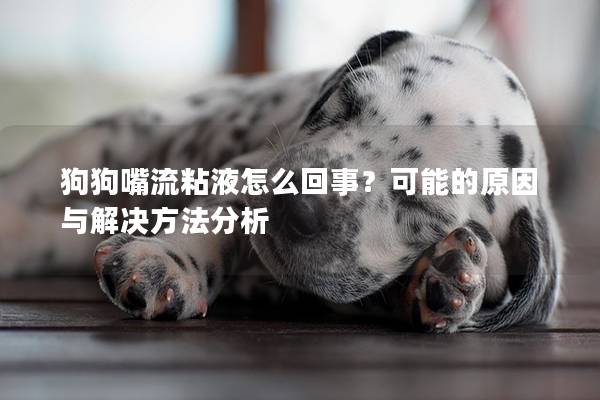 狗狗嘴流粘液怎么回事？可能的原因與解決方法分析