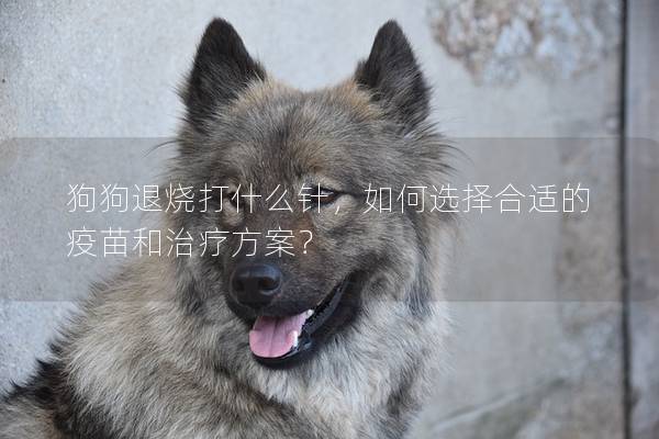 狗狗退燒打什么針，如何選擇合適的疫苗和治療方案？