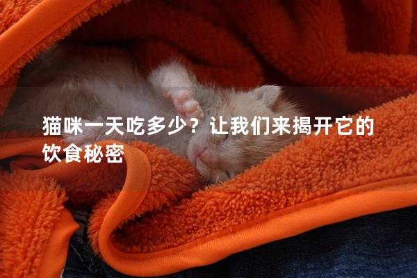 貓咪一天吃多少？讓我們來揭開它的飲食秘密