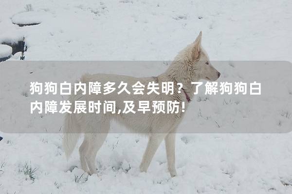 狗狗白內(nèi)障多久會(huì)失明?了解狗狗白內(nèi)障發(fā)展時(shí)間,及早預(yù)防! 狗狗白內(nèi)障多久會(huì)失明?了解狗狗白內(nèi)障發(fā)展時(shí)間,及早預(yù)防!