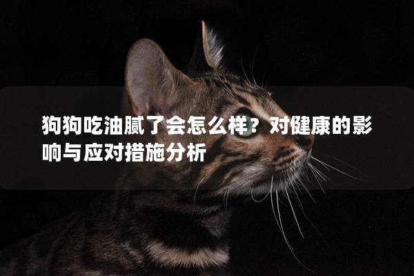 狗狗吃油膩了會怎么樣？對健康的影響與應對措施分析
