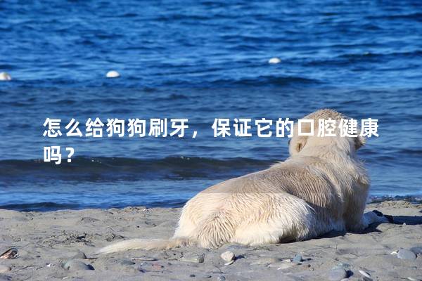 怎么給狗狗刷牙，保證它的口腔健康嗎？