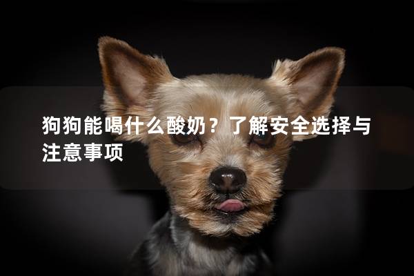 狗狗能喝什么酸奶?了解安全選擇與注意事項(xiàng) 狗狗能喝什么酸奶?了解安全選擇與注意事項(xiàng)