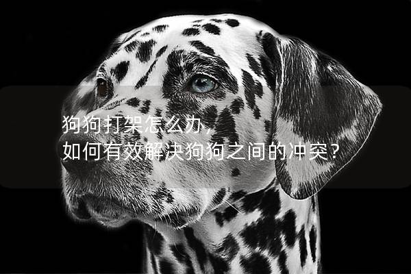 狗狗打架怎么辦, 如何有效解決狗狗之間的沖突? 狗狗打架怎么辦, 如何有效解決狗狗之間的沖突?