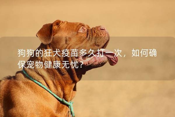 狗狗的狂犬疫苗多久打一次，如何確保寵物健康無憂？