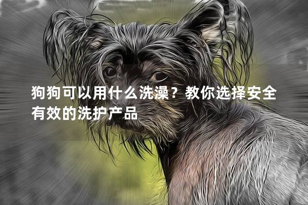 狗狗可以用什么洗澡？教你選擇安全有效的洗護產品