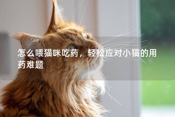 怎么喂貓咪吃藥，輕松應對小貓的用藥難題