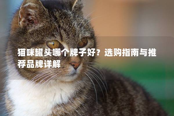 貓咪罐頭哪個牌子好？選購指南與推薦品牌詳解