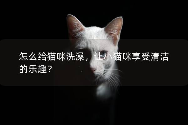 怎么給貓咪洗澡，讓小貓咪享受清潔的樂趣？