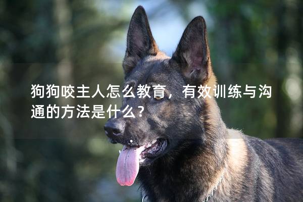 狗狗咬主人怎么教育，有效訓練與溝通的方法是什么？