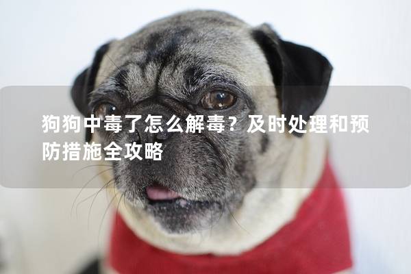 狗狗中毒了怎么解毒？及時處理和預防措施全攻略