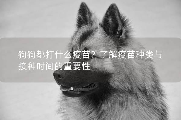 狗狗都打什么疫苗？了解疫苗種類與接種時間的重要性