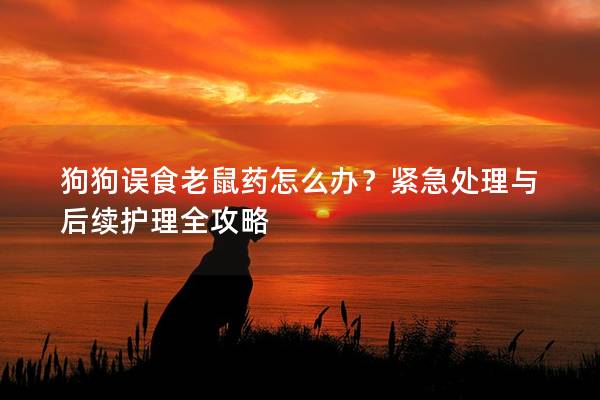 狗狗誤食老鼠藥怎么辦？緊急處理與后續護理全攻略