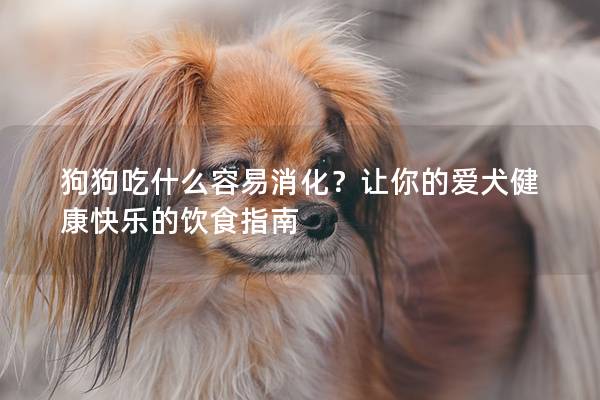 狗狗吃什么容易消化？讓你的愛犬健康快樂的飲食指南
