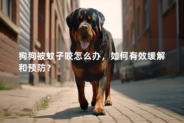 狗狗被蚊子咬怎么辦,如何有效緩解和預(yù)防?