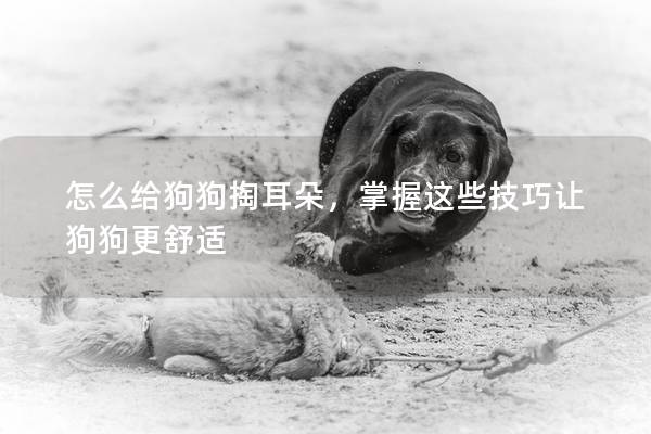 怎么給狗狗掏耳朵，掌握這些技巧讓狗狗更舒適