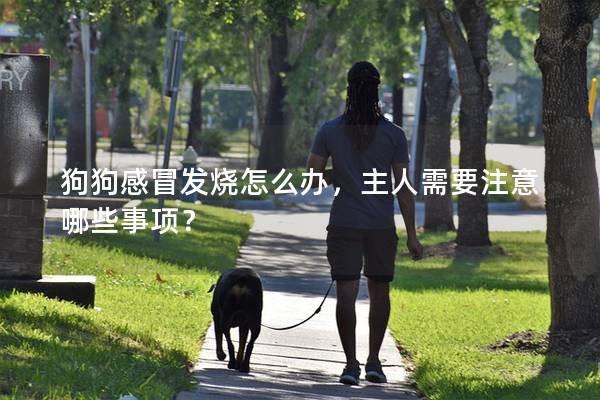 狗狗感冒發燒怎么辦，主人需要注意哪些事項？