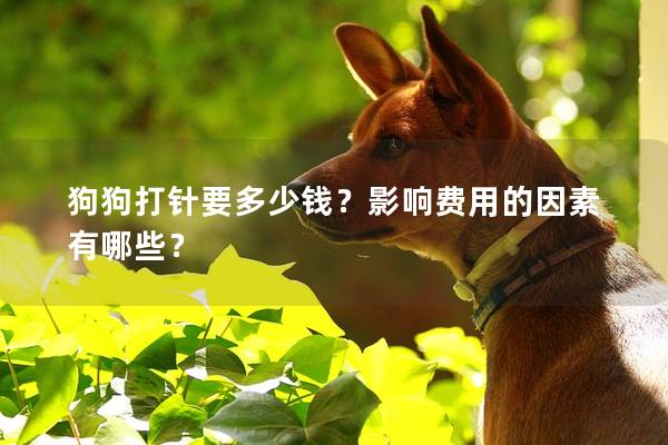 狗狗打針要多少錢？影響費用的因素有哪些？
