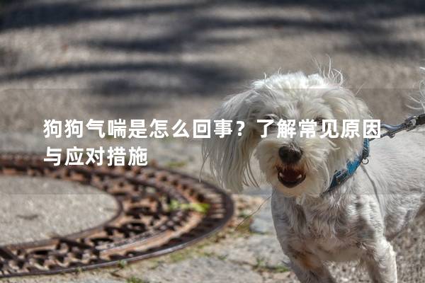 狗狗氣喘是怎么回事？了解常見原因與應對措施