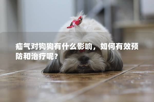 疝氣對狗狗有什么影響，如何有效預防和治療呢？