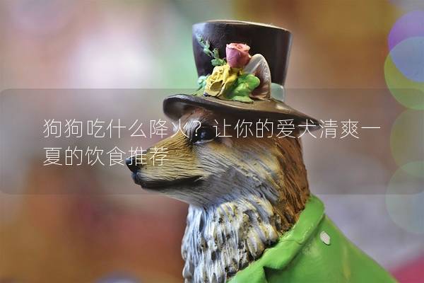 狗狗吃什么降火？讓你的愛犬清爽一夏的飲食推薦