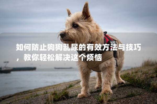 如何防止狗狗亂尿的有效方法與技巧，教你輕松解決這個煩惱
