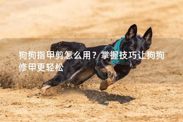 狗狗指甲剪怎么用？掌握技巧讓狗狗修甲更輕松